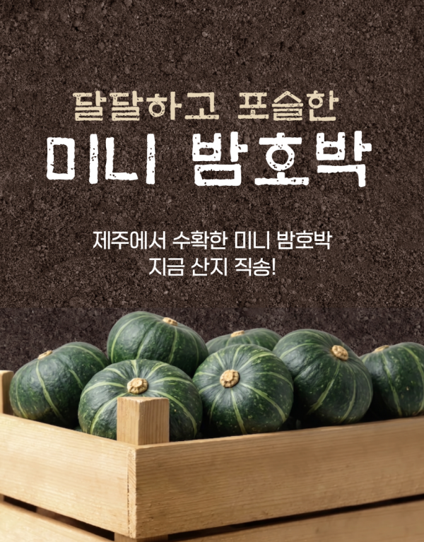 [귤향가득] 제주미니밤호박(보우짱) 소과 2kg 핫딜!! 특가!!