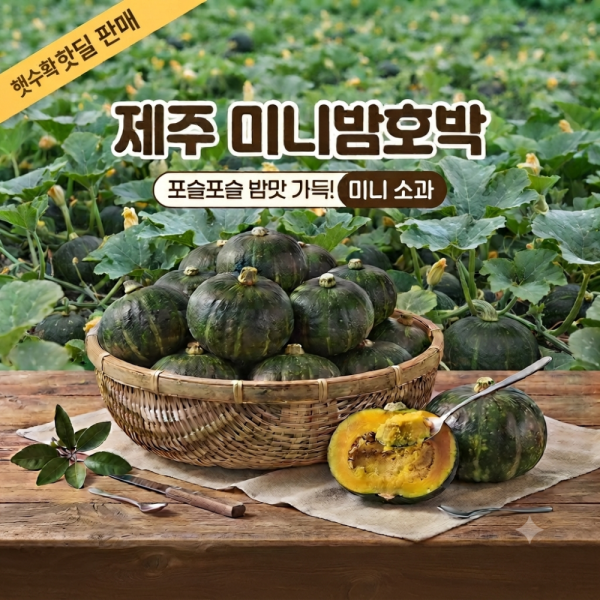 [귤향가득] 제주미니밤호박(보우짱) 소과 2kg 핫딜!! 특가!!